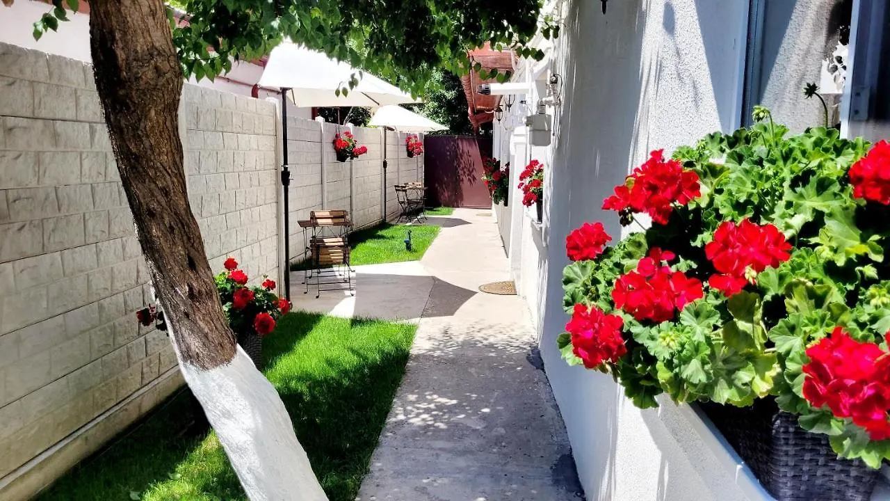 דירות בוקרשט Rose Garden House