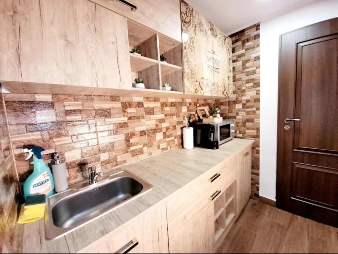 Rose Garden House Apartment Bucharest Romania